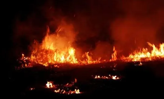 mumbai fire