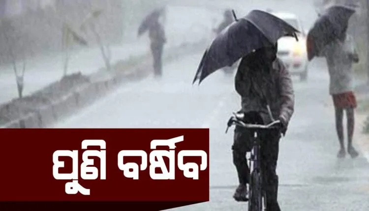RAIN-3-750x430