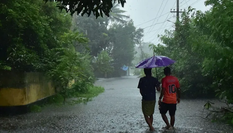 rain-8-750x430