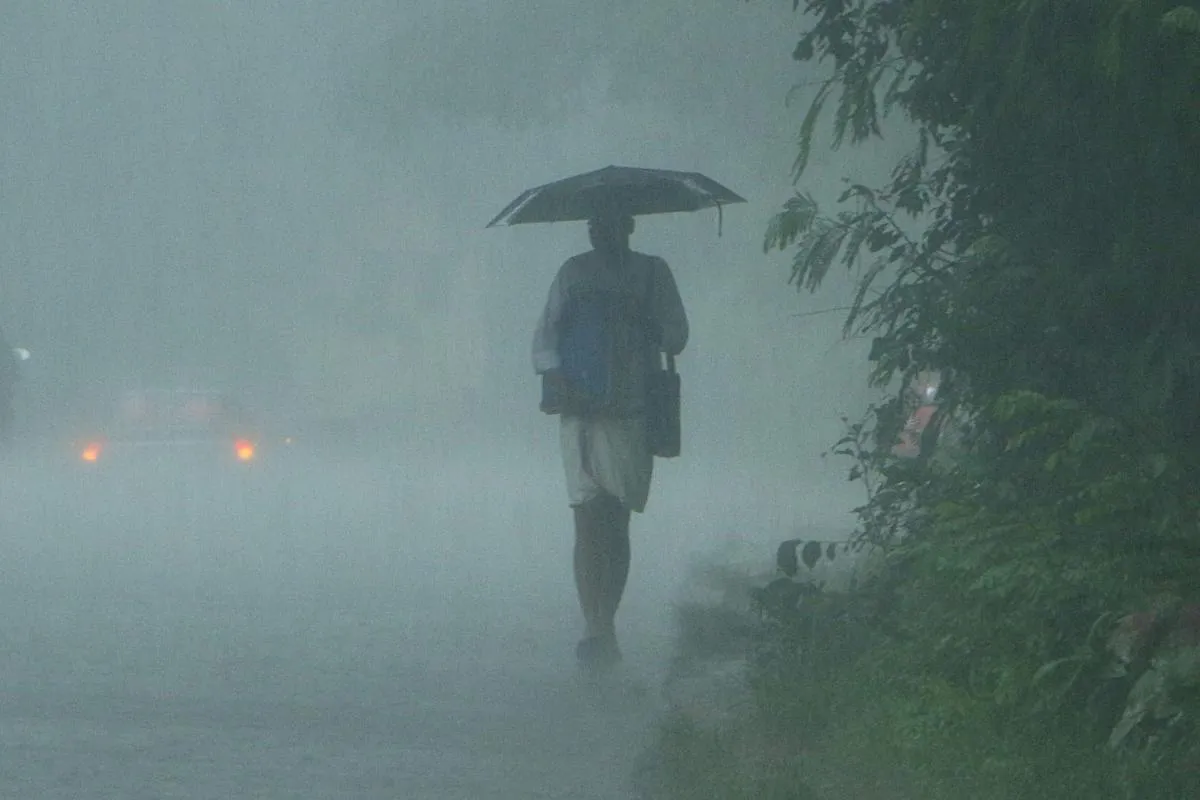 rainfall-1