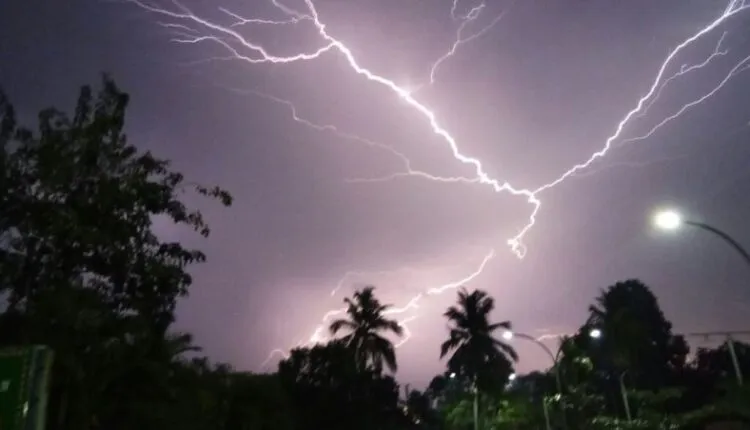 Thunder-750x430