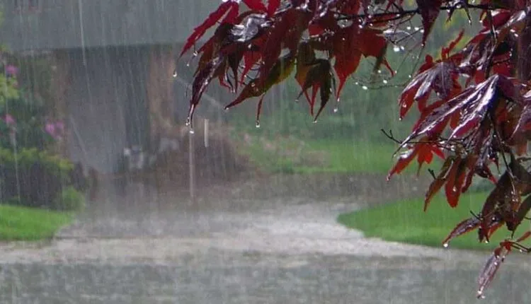 Monsoon-rain-750x430