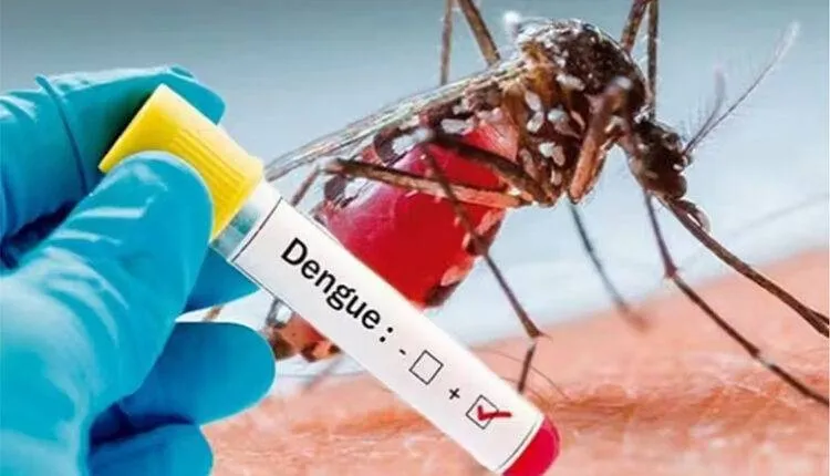 dengue-ff-750x430 (1)