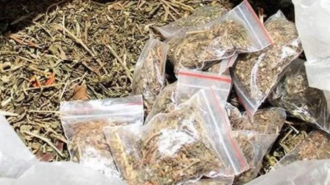 Ganja
